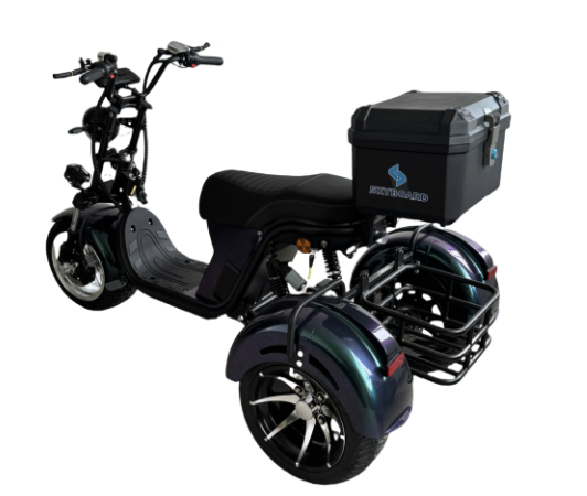 Электроскутер Skyboard MyRussia BR60 3000W