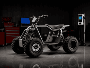 Предпродажная подготовка квадроциклов: большой-взрослый (от 130 кг и выше)