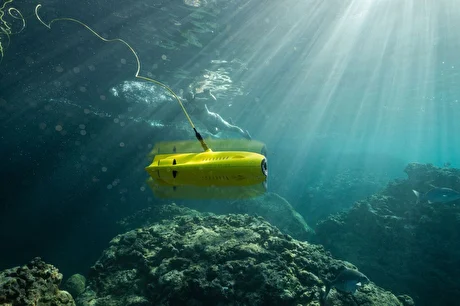 QIP Shot - Screen 243.png