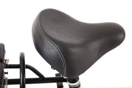 Велогибрид GREEN CITY e-ALFA GL Черный