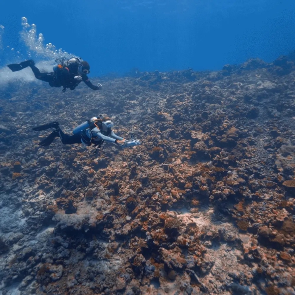 Водный скутер LEFEET P1 Lite Dual Rail Set