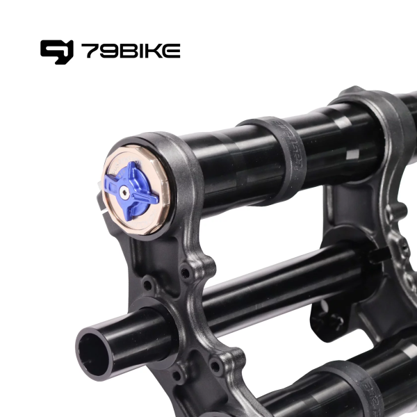 Передняя вилка 79Bike ALX13RC 2.0 Fork