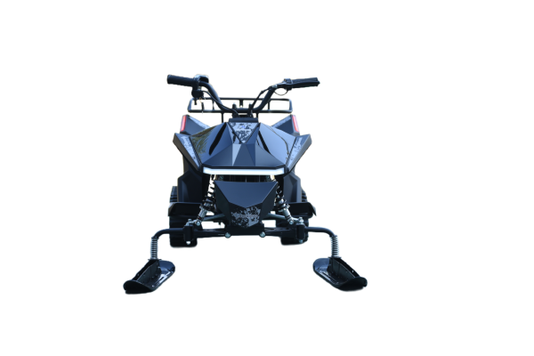 Зимний электроскутер Skyboard CyberTruck Sibir Kids 350W