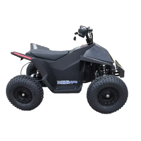 Электроквадроцикл Skyboard CyberTruck Sochi Kids 800W (цепной привод)