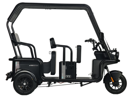 Электротрицикл Wanshida NIPLA 570 60V 1000Вт черный