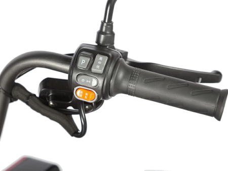 Электротрицикл Wanshida LC-F200 60V 1000Вт зеленый