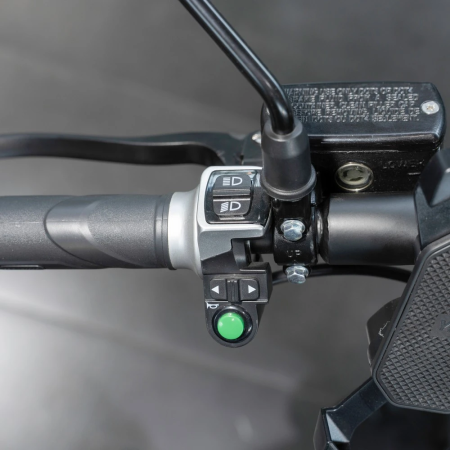 Электроскутер ECO Premium Lion E3900W