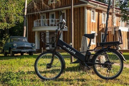 Велогибрид GREEN CITY e-ALFA GL Серый