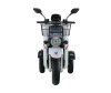 Трехколесный электроскутер Рорикс ET-R 120