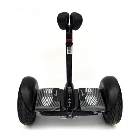 Мини-сигвей Wolong  Mini Robot 36V