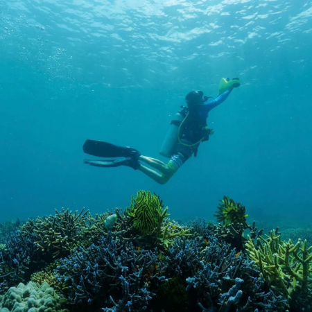 Подводный электроскутер MANTA синий