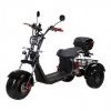 Электроскутер SKYBOARD Irtysh TRIKE BR40-3000 PRO Fast