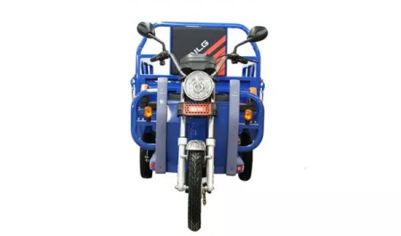 Грузовой электротрицикл TaiLG TL800