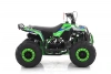 Квадроцикл MOTAX GRIZLIK A110 Черно-зеленый