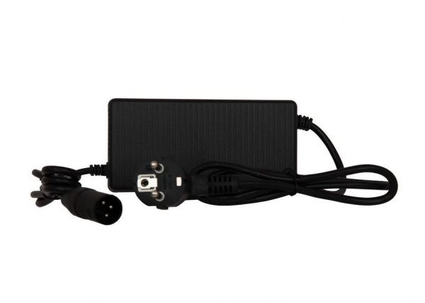 Зарядное устройство быстрое для COSWHEEL GT20 / GT20 MAX 48v 6A