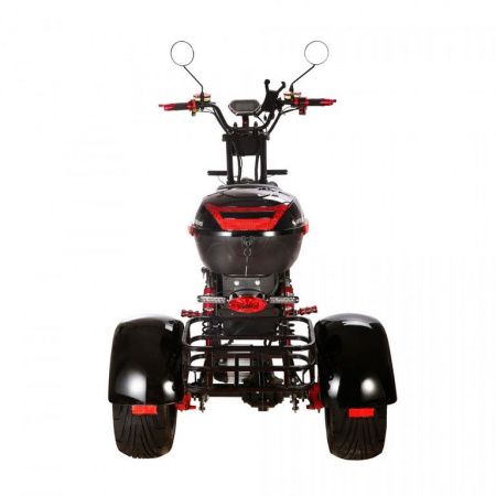 Электроскутер SKYBOARD MyRussia TRIKE BR60 3000 W