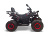 Бензиновый квадроцикл MOTAX GRIZLIK T200 LUX красный