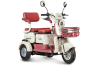 Электротрицикл Rutrike Gelbert Mercury 48V/60V 650Вт бело-красный
