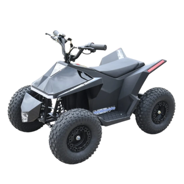 Электроквадроцикл Skyboard CyberTruck Sochi Kids 800W (цепной привод)