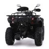 Бензиновый квадроцикл Blade 550 EPS
