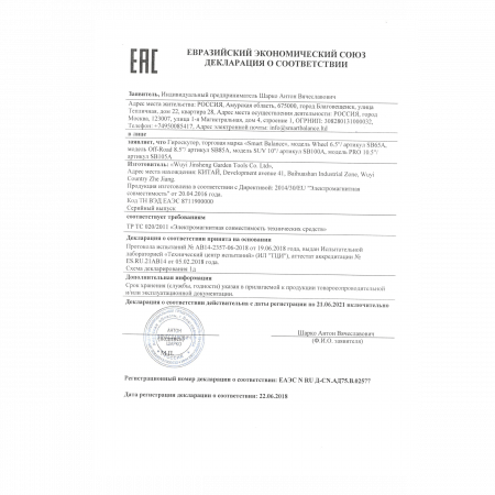 Гироскутер Smart Balance PRO 10.5" РСТ оригинал