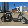Электроскутер Smart Balance X11 Trike