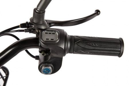 Велогибрид GREEN CITY e-ALFA Коричневый