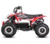 Электроквадроцикл WHITE SIBERIA SNEG LETO R RED