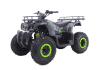 Бензиновый квадроцикл MOTAX GRIZLIK T200 LUX зеленый