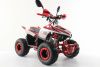 Подростковый квадроцикл Motax Mikro 110 NEW Красный