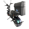 Электроскутер Skyboard Ural 2WD