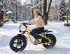 Электровелосипед Griffin J3