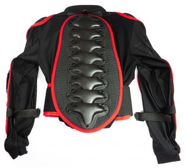 Черепаха Мотакс с узкой спиной